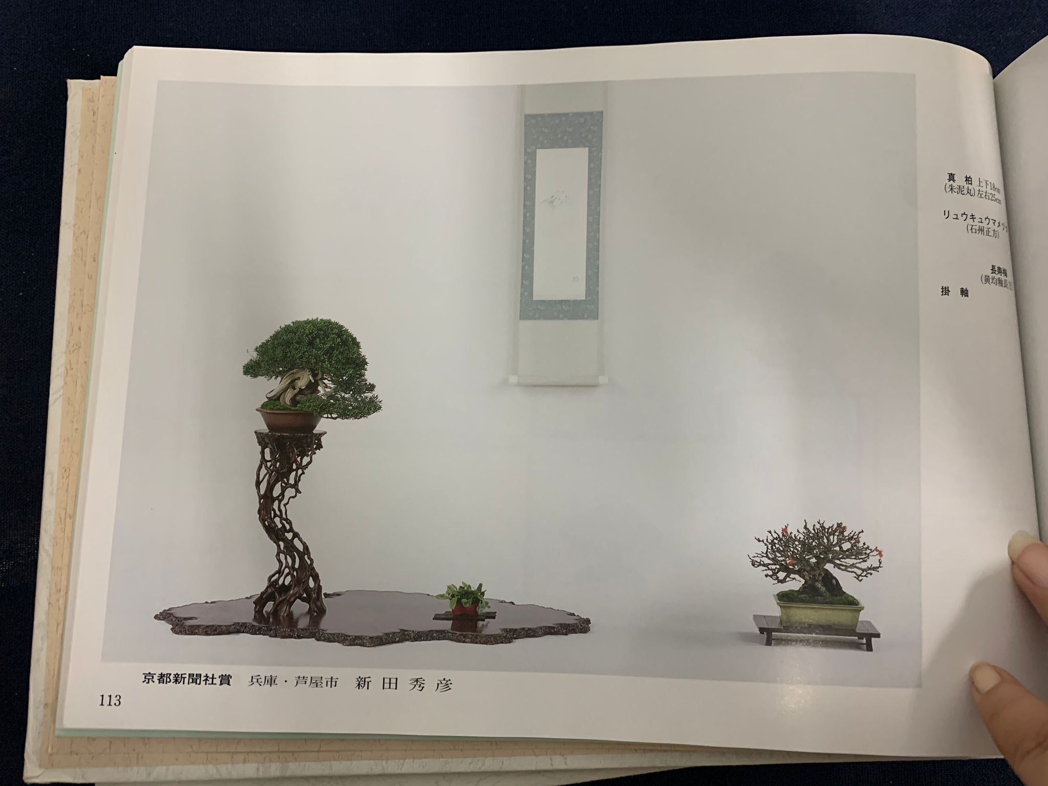 【香港現貨】日本三個展覽展出作品 - 系魚川真柏(附上影片)