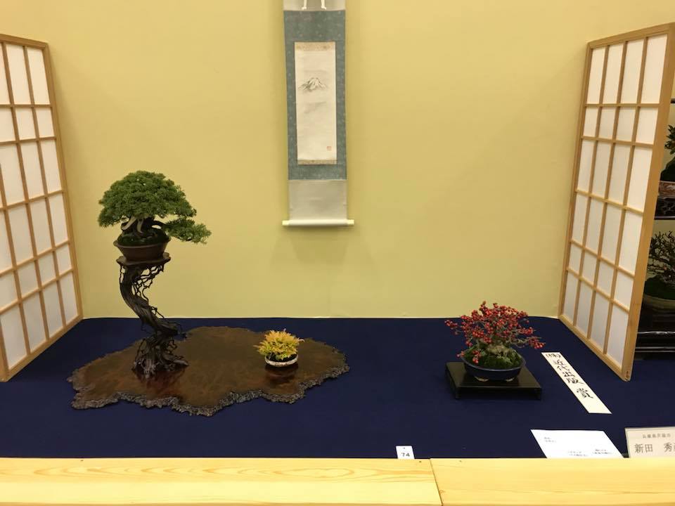 【香港現貨】日本三個展覽展出作品 - 系魚川真柏（附上影片）