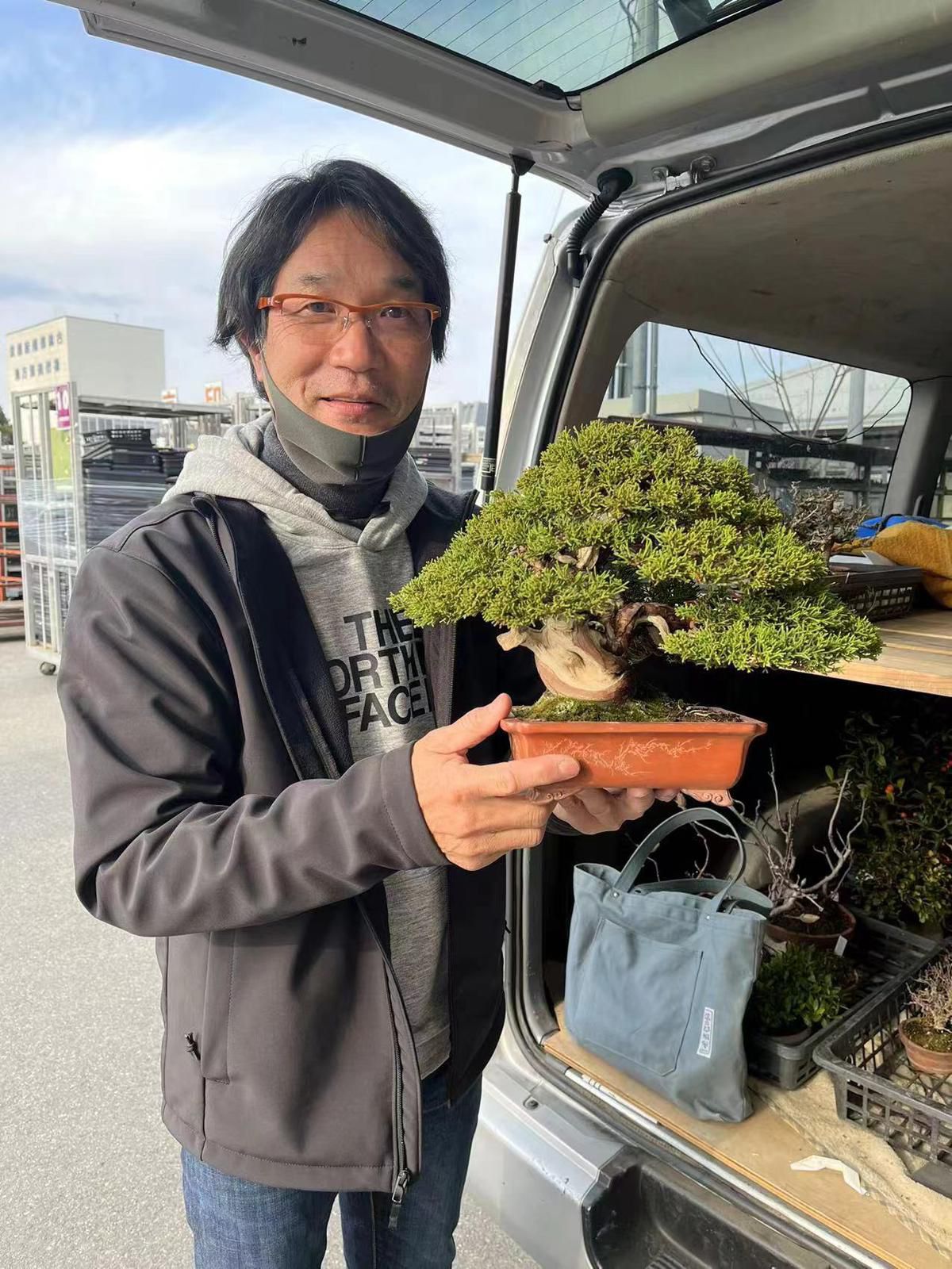 【香港現貨】日本名家大島健資作品-日本系魚川真柏（附上影片）